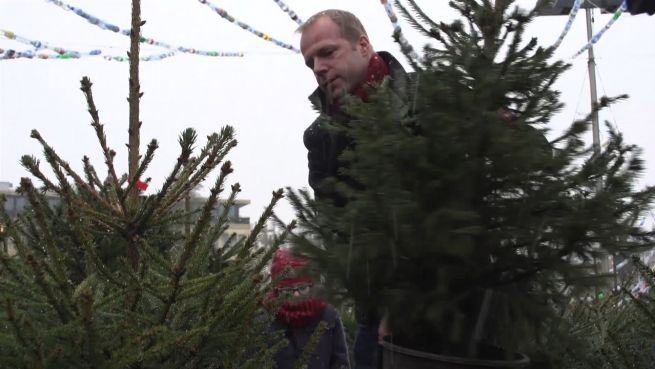 go to Nachhaltige Weihnachten: 'Adoptiere den Weihnachtsbaum'