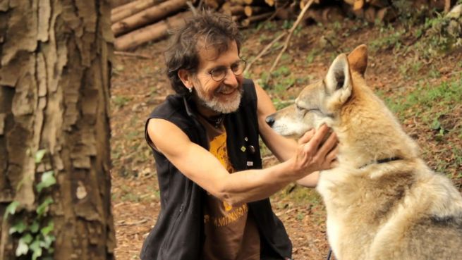go to Italiens Mogli: Mann lebt mit Wolf zusammen