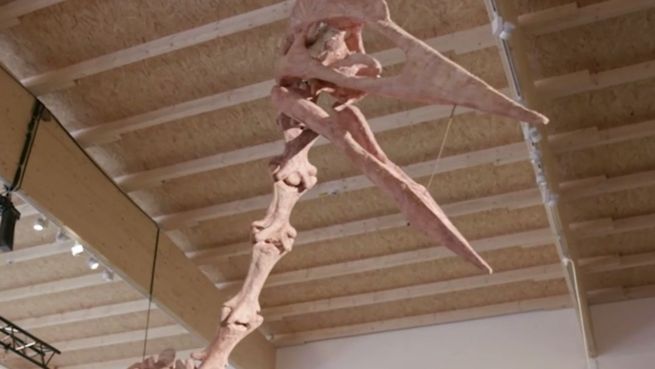 go to ‚Dracula‘: Der Riesensaurier von Altmühltal