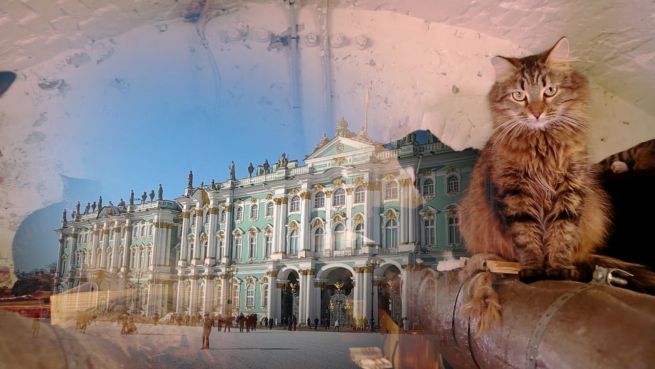 go to Katzen als Angestellte: Die Mäusejäger der Eremitage