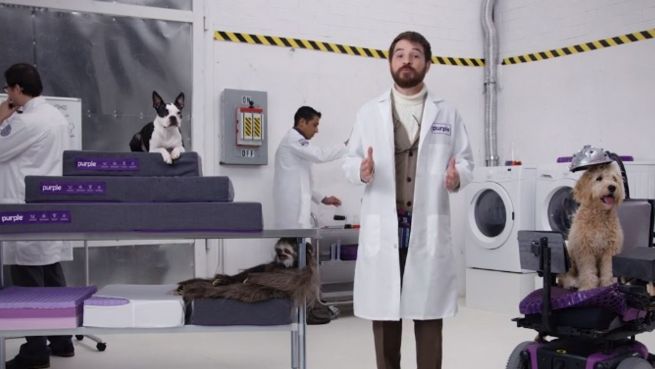 go to Schlafen wie ein König: Komfortable ‚Couch‘ für Tiere