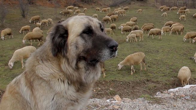 go to Reiseziel Kosovo: Urlaub im jüngsten Land Europas