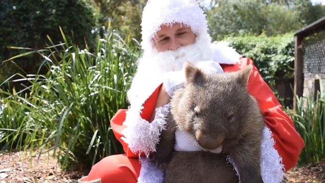 go to Weihnachtsmann in Gefahr: Santas Geschenke im Zoo