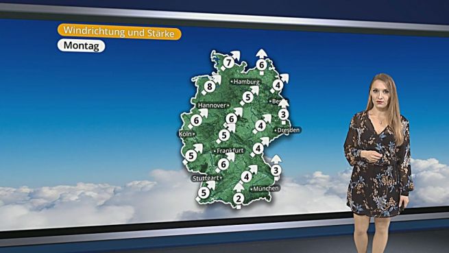 go to Das Wetter in Deutschland am 08. Februar 2016