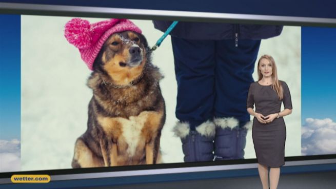 go to Das Wetter in Deutschland am 06. Januar 2017