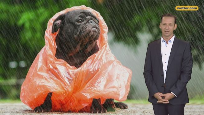 go to Das Wetter in Deutschland am 09. September 2017