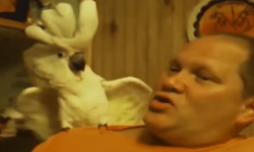 go to Funny Fails Compilation 2017