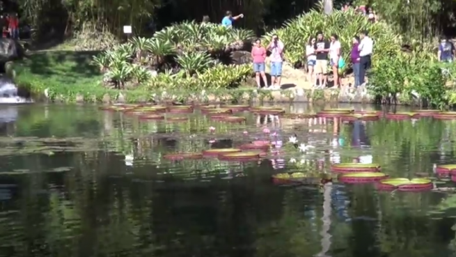 go to Rio de Janeiro – A sightseeing tour through this city of dreams