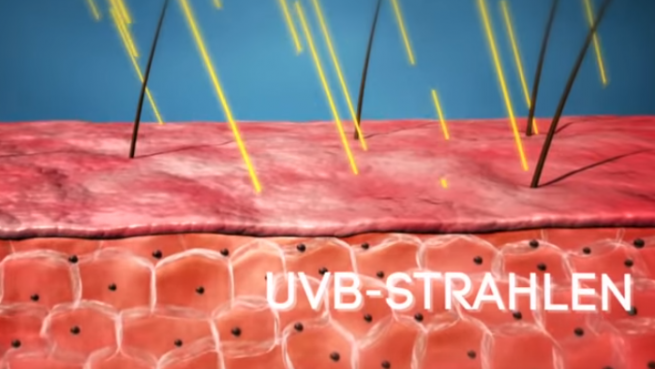 go to Was macht eine gute Sonnencreme aus?